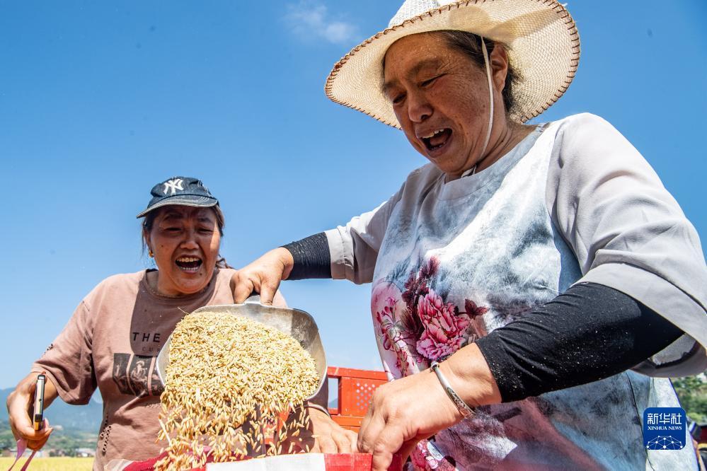 银河在线下载